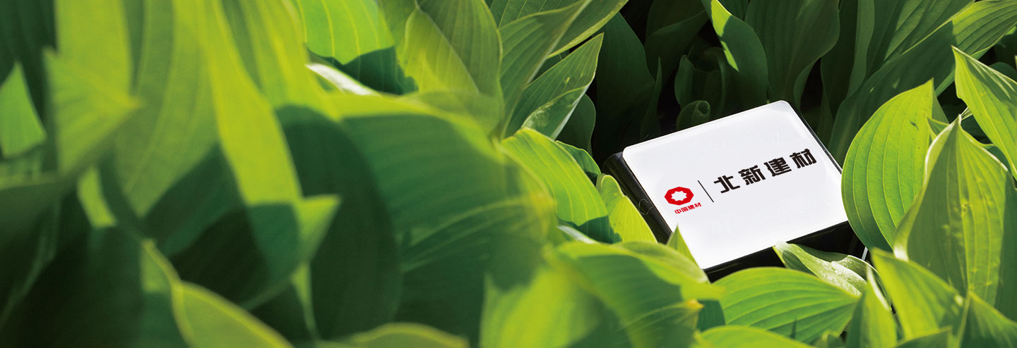 ������̬